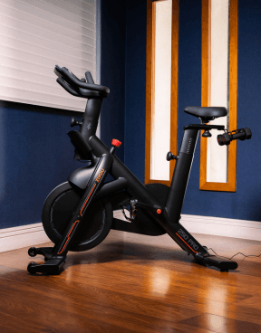 imagem da bike 250